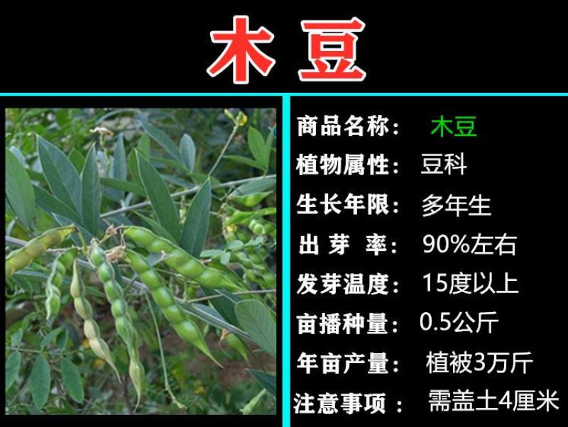 宿迁批发市场的最新动态